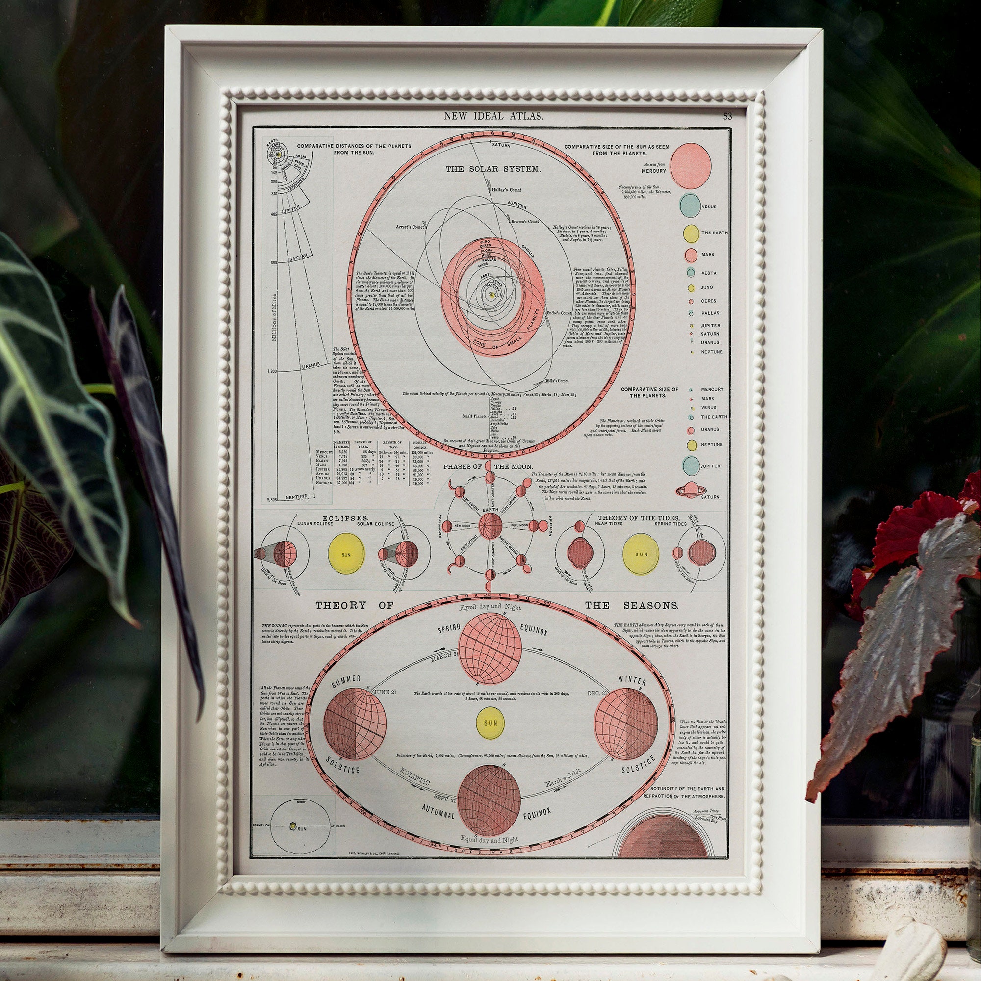 Moon Phases Print: Vintage Solar System & Seasons Chart - Etsy