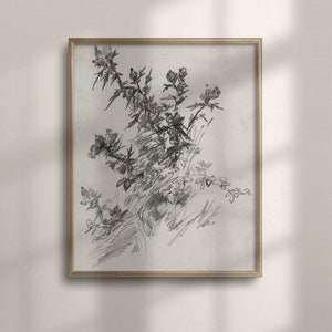 Antique Botanical Wall Art, Scottish Thistle Etching, Rustic Home Decor, Vintage Flower Sketch, English Cottage Decor, Poster, C16-800
