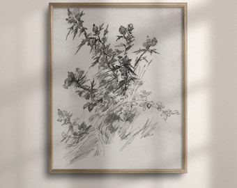 Antique Scottish Thistle Etching: Vintage Botanical Wall Art