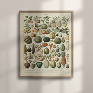 Adolphe Millot Fruits Chart, Vintage Botanical Art, Kitchen Decor, Biology Wall Art, Housewarming Poster, Educatief Fruit, C16-1268