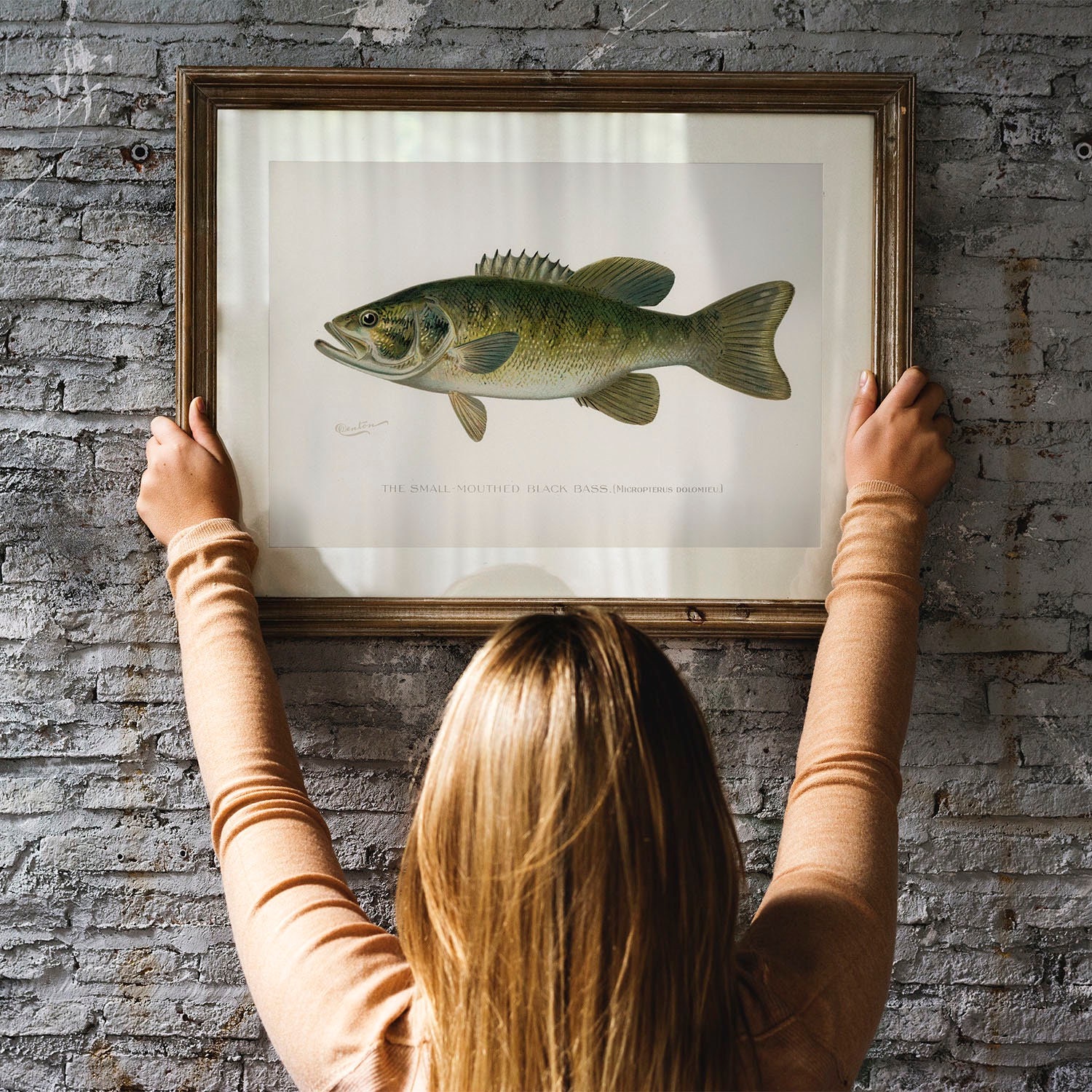 Black Bass Fish Print, Vintage Fishing Poster Wall Art Decor, Smal