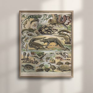 Adolphe Millot Reptiles Print: Vintage Botanical Illustration