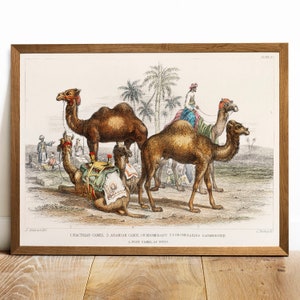 Buy Camel Painting Kits Online in India