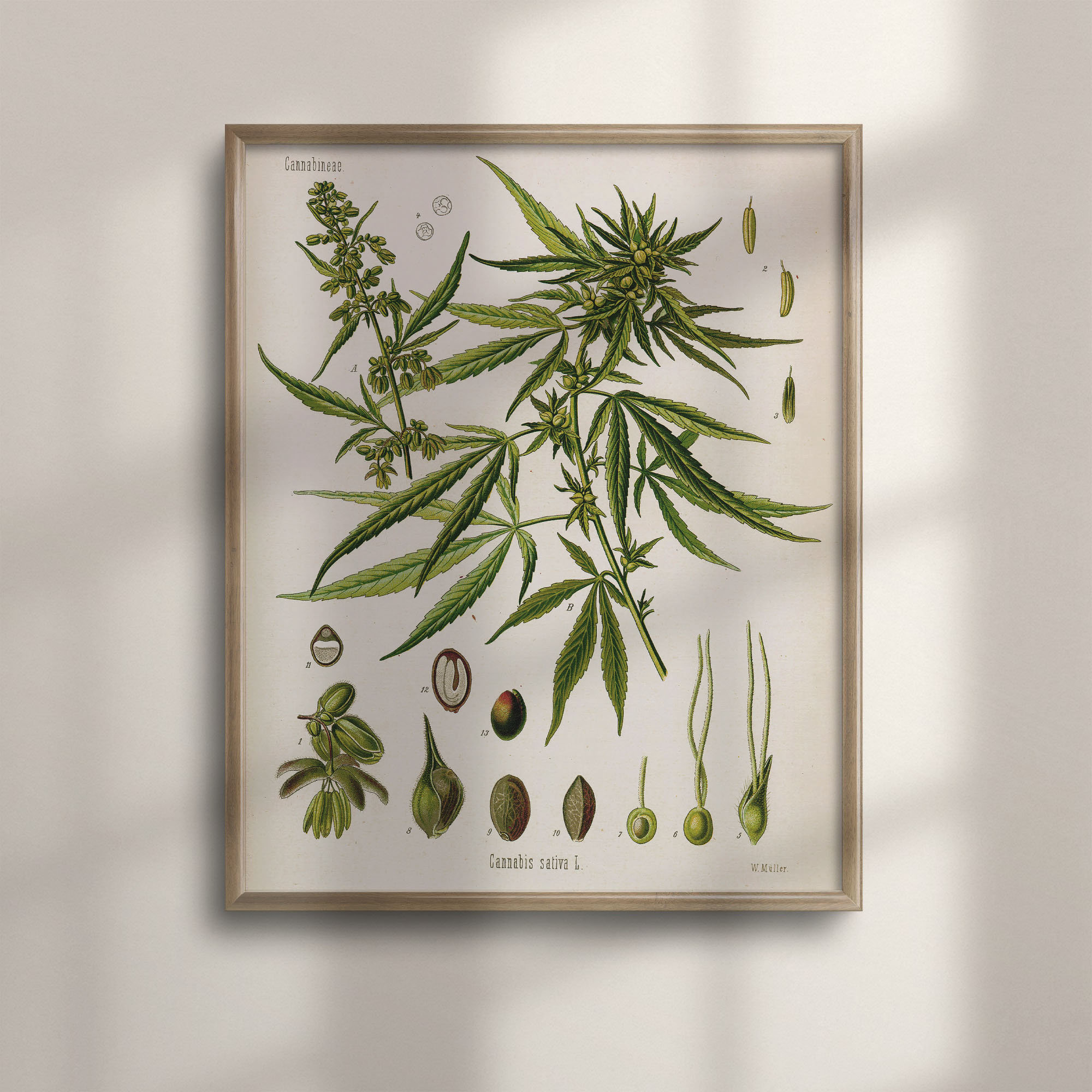 Marijuana posters - Etsy 日本