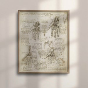Vintage Da Vinci Anatomy Art Print: Skeleton & Human Hand