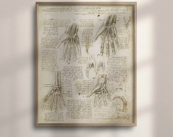 Vintage Da Vinci Anatomy Art Print: Skeleton & Human Hand