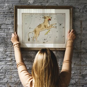 May include: A framed vintage illustration of the Lynx and Telescopium constellations. The illustration features a detailed star chart with a mythical creature, possibly a lynx, depicted in the center.