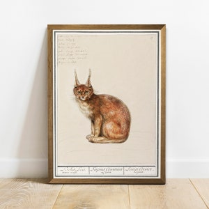 Lynx Print, Antique Space Painting, Vintage Drawing Poster Wall Art, animals poster, zoology gifts gift, zoology poster | COO783