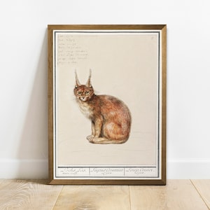 Antique Lynx Print: Vintage Zoology Poster Wall Art