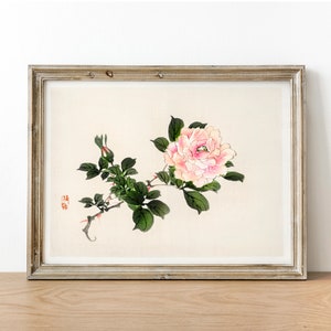 Blumen Druck rosa Rose Kunstdruck, antike botanische Malerei, Vintage Zeichnung Poster Wand Kunst Dekor, Geschenk für die Küche | CO671