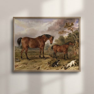 Vintage Equestrian Art, Antique Horse Illustration, Farmhouse Wall Decor, Equine Home Accent, Perfect Gift for Horse Lovers, C16-576