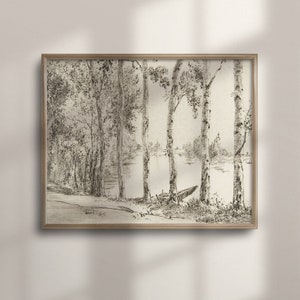 Antike Birke Skizze, rustikale Bauernhaus Wandkunst, Vintage botanische Zeichnung, Neutral Country Decor, Vintage Home Accent, C16-388