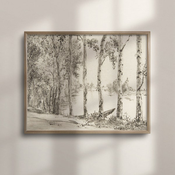 Antique Birch Tree Sketch, Rustic Farmhouse Wall Art, Vintage Botanical Drawing, Neutral Country Decor, Vintage Home Accent, C16-388