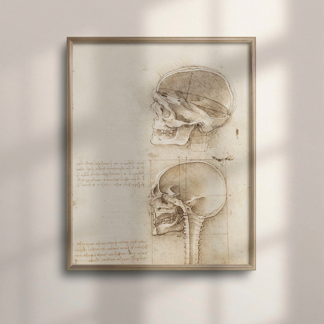 Vintage Da Vinci Anatomy Poster, Skull Art, Medical Decor, Unique ...