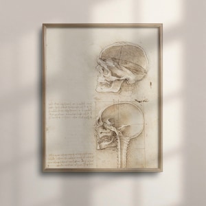 Vintage Da Vinci Anatomy Art Print: Skull Medical Decor