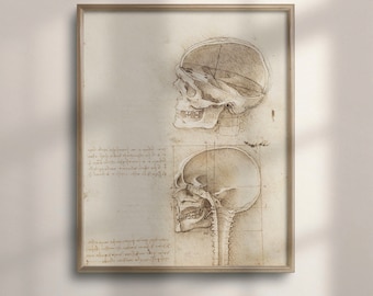 Vintage Da Vinci Anatomy Art Print: Skull Medical Decor