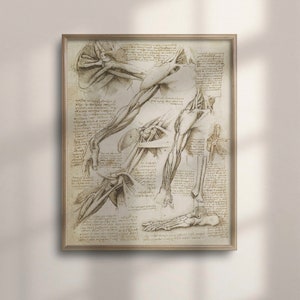 Vitruvian Man V2, Hard Cover Sketchbook, Leonardo Da Vinci Drawing