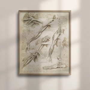Da Vinci Anatomy Art Print: Vintage Medical Decor
