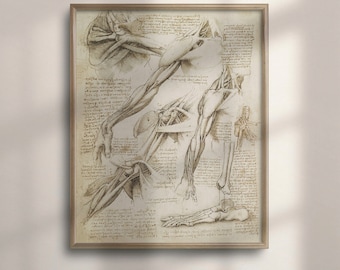 Da Vinci Anatomy Art Print: Vintage Medical Decor