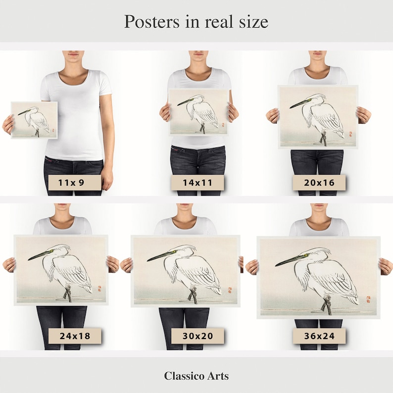 May include: Six different sizes of posters featuring a black and white illustration of a white egret standing in water. The posters are shown in real size, held by people in the image. The poster sizes are 11x9 inches, 14x11 inches, 20x16 inches, 24x18 inches, 30x20 inches, and 36x24 inches.