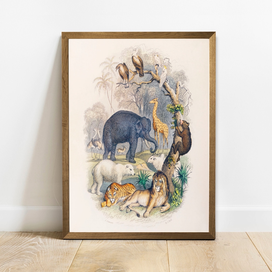 Animal Drawing Print, Antique Animal Painting, Vintage Drawing Poster ...