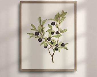 Vintage Botanical Print, Antique Berry Watercolor Art, Farmhouse Decor