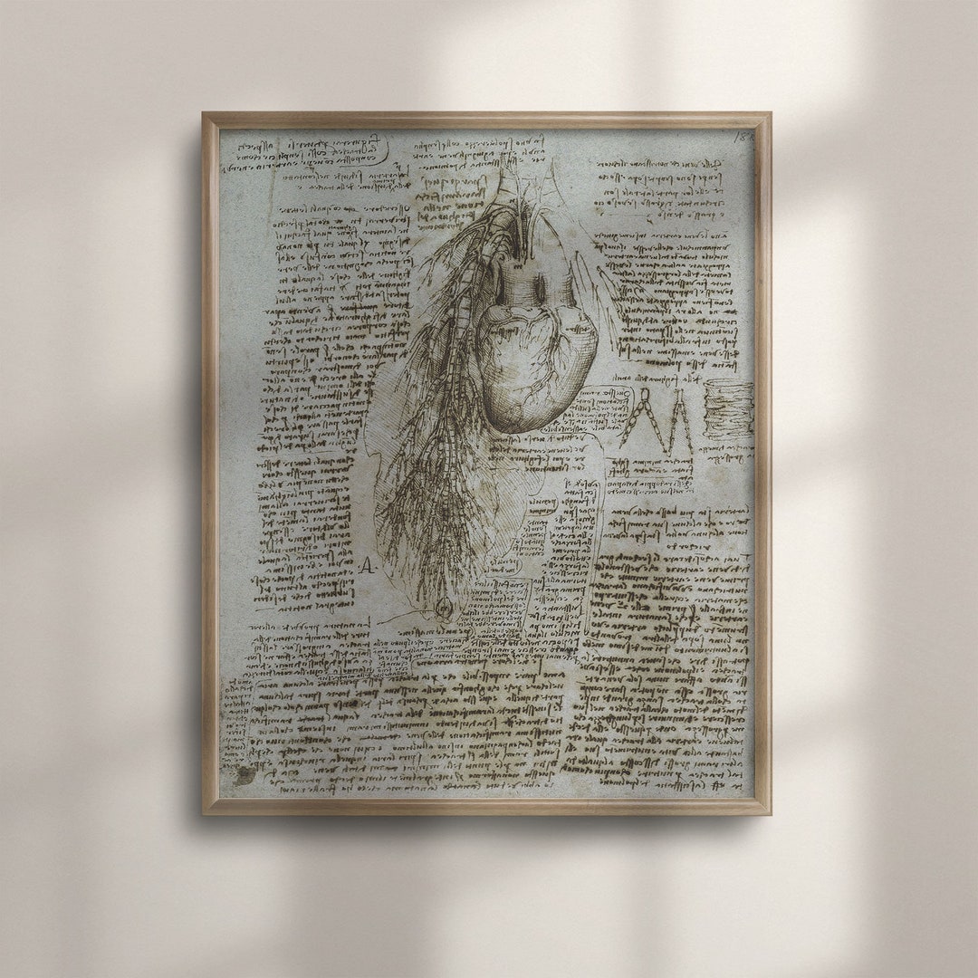 Da Vinci Anatomy Art Print: Vintage Heart, Medical Wall Decor - Etsy