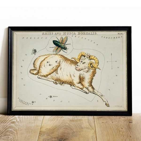 Aries Print, Antique Space Painting, Vintage Drawing Poster Wall Art, Musca Borealis, astrology art, Zodiac sign | COO820