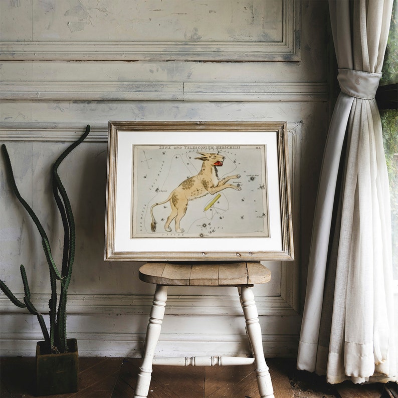 May include: A vintage, framed illustration of the constellation Aries, depicting a ram with a red mouth and a yellow star. The illustration is on a light blue background with black and white stars.