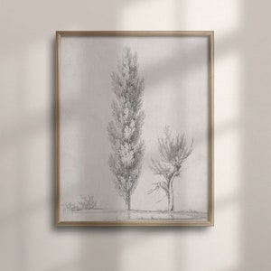 Vintage Tree Sketch, Antique Botanical Art, Nature Inspired Drawing, Wall Decor, Unique Poster, Handmade Sketch Art, Botanical, C16-1095
