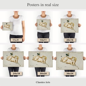 May include: A set of six posters showing different sizes of a vintage illustration of the constellation Aries. The illustration is in a light brown color with a beige background and features a ram with a beetle above it. The posters are shown in different sizes, with the measurements listed below each poster. The text "Classico Arts" is at the bottom of the image.