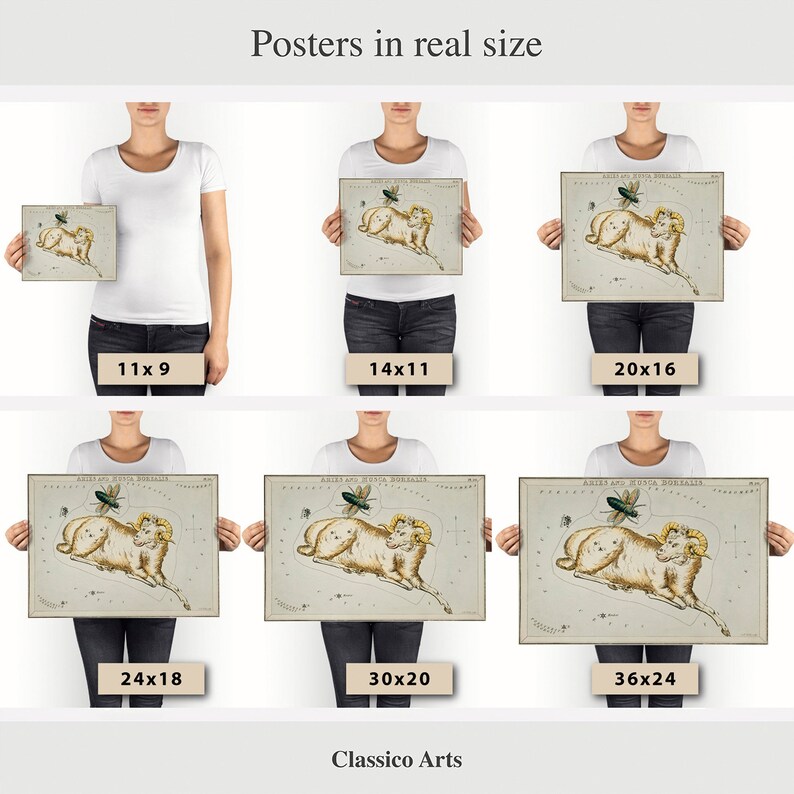 May include: A set of six posters showing different sizes of a vintage illustration of the constellation Aries. The illustration is in a light brown color with a beige background and features a ram with a beetle above it. The posters are shown in different sizes, with the measurements listed below each poster. The text "Classico Arts" is at the bottom of the image.