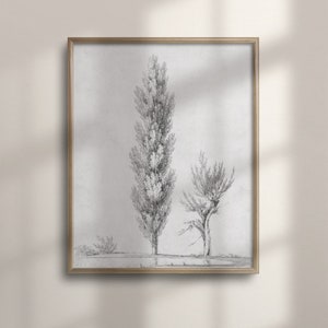 Antique Tree Sketch Art, Minimalist Landscape, Neutral Wall Decor, Vintage Academia, Victorian Inspired, Poster Print, C16-796