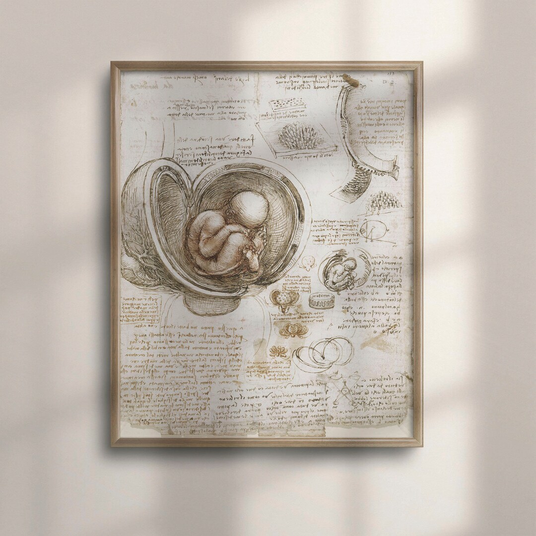 Vintage Da Vinci Anatomical Fetus Print, Medical Wall Art, C16-964 - Etsy
