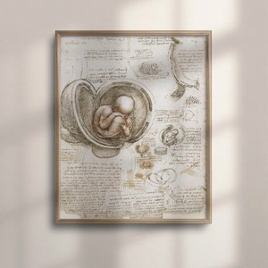 Vintage Da Vinci Anatomical Art Poster, Medical Wall Decor, Anatomical Drawings, Unique Gift Idea, Medical Wall Art, Fetus Prints, C16-964