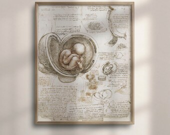 Vintage Da Vinci Anatomical Fetus Print, Medical Wall Art, C16-964