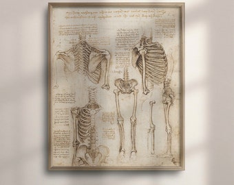 Da Vinci Anatomical Print: Vintage Human Skeleton Wall Art