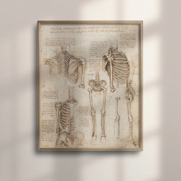 Da Vinci Anatomical Print: Vintage Human Skeleton Wall Art