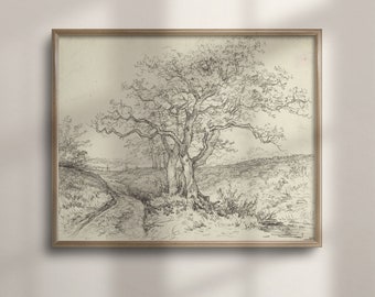 Vintage Tree Sketch Art Print: Farmhouse Wall Decor