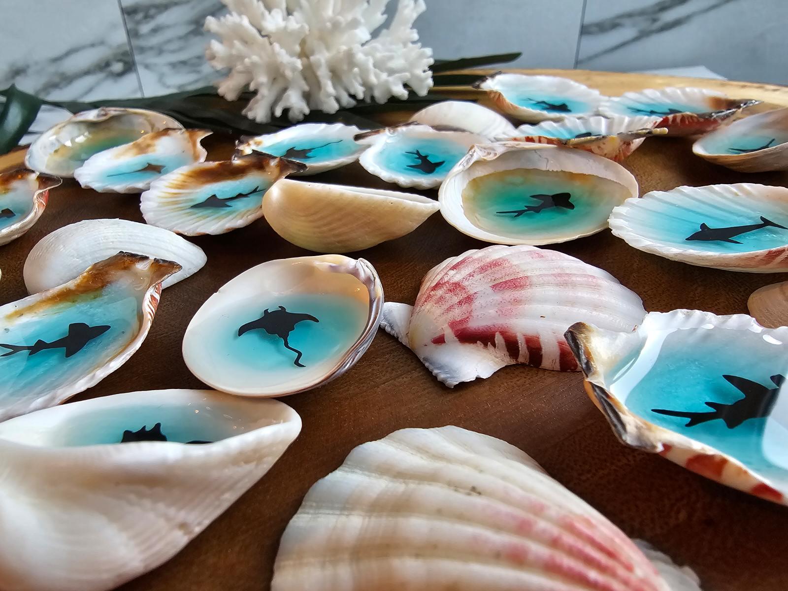 Pocket Hug Ocean Beachy Sea Creature Real Shell Friendship Gift Holiday ...