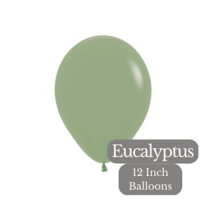 Palloncini verde salvia eucalipto, pacchetto di palloncini in lattice verde salvia di alta qualità, palloncini per baby shower, palloncini verde eucalipto Sempertex