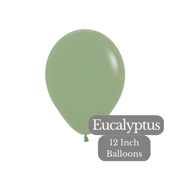 Ballons verts de sauge d’eucalyptus, paquet de ballons verts de sauge en latex de haute qualité, ballons de douche de bébé, ballons verts d’eucalyptus Sempertex