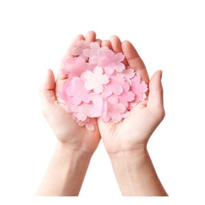 Mélange de confettis roses en fleurs de cerisier, confettis de table, confettis de fête, fête de fleurs de printemps, décorations de table de Pâques, confettis en forme de Sakura