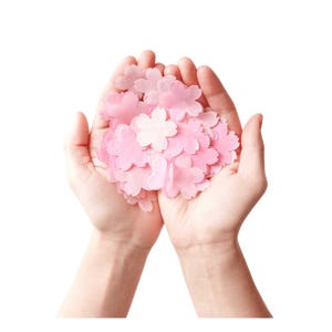 Roze kersenbloesemconfettimix 20 g - Rico Design Sakura bloemen tafelconfetti - Tafeldecoratie voor bruiloft, lentefeest, babyshower, vrijgezellenfeest