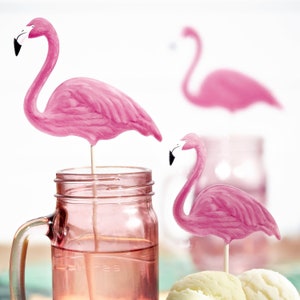 Flamingo Party Cake Toppers x 6, Flamingo Toppers, Ice cream Toppers, Cocktail Decorations