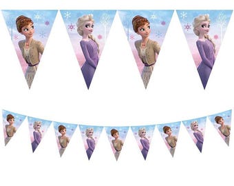 Frozen Party Triangle Flag Banner