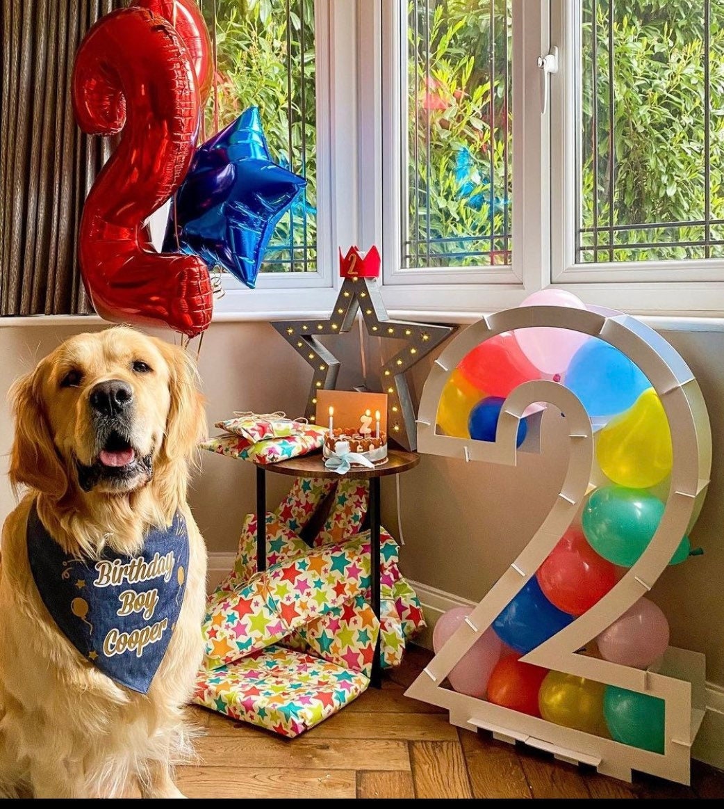 2º Cumpleaños- Número mosaico con globos - La Tavola Dulce