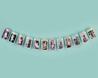 1st Birthday Baby Photo Banner Bunting Garland for Newborn to 12 Months Birthday Party Decorations Monthly Milestone Decor photo banner