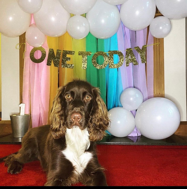 Decorazioni per il primo compleanno, articoli per feste One Today. Bandierine per il primo compleanno, decorazioni per il primo compleanno, striscioni con bandierine per la festa del primo compleanno immagine 3