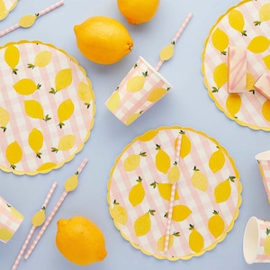 Lemon Party supplies, picnic tableware, lemon and Pink Gingham garden party, summer party supplies, Amalfi party tableware, catering supply